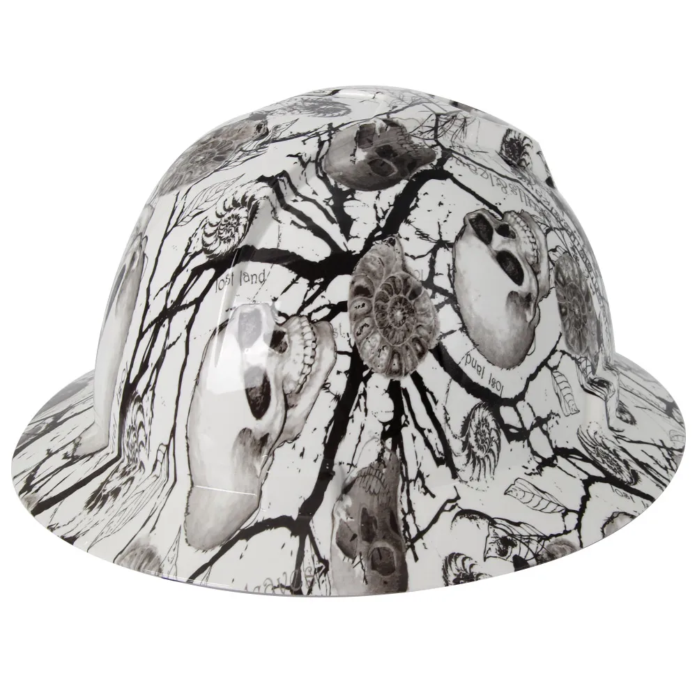 탄소 섬유 해골 패턴 풀 브림 하드 햇, 엔지니어 건설 안전 헬멧, ABS 조정 가능 ANSI 하드 햇 보호 title=탄소 섬유 해골 패턴 풀 브림 하드 햇, 엔지니어 건설 안전 헬멧, ABS 조정 가능 ANSI 하드 햇 보호