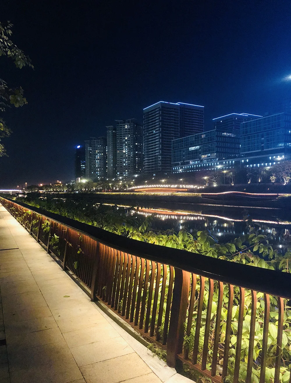 5M 600LED LED 스트립 2835 DC12V 24V 120LED/m 홈 램프 스트립 레드 아이스 블루 그린 옐로우 핑크 유연하고 절단 가능한 소프트 램프 바