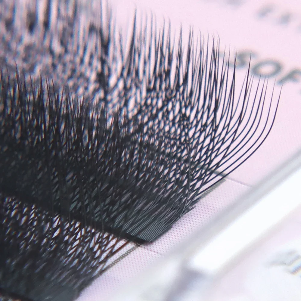 ANNAFRIS 4D-W 모양의 속눈썹 연장 미리 제작된 팬 W 볼륨 속눈썹