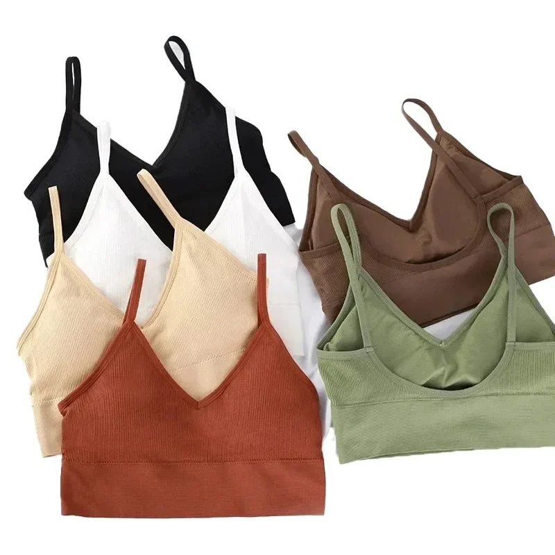 원활한 여성은 브래지어를 밀어 아름다운 다시 브래지어 피트니스 탑 브래지어 Bralette 여성 튜브 탑 속옷 Bralet 가슴 패드 title=원활한 여성은 브래지어를 밀어 아름다운 다시 브래지어 피트니스 탑 브래지어 Bralette 여성 튜브 탑 속옷 Bralet 가슴 패드 