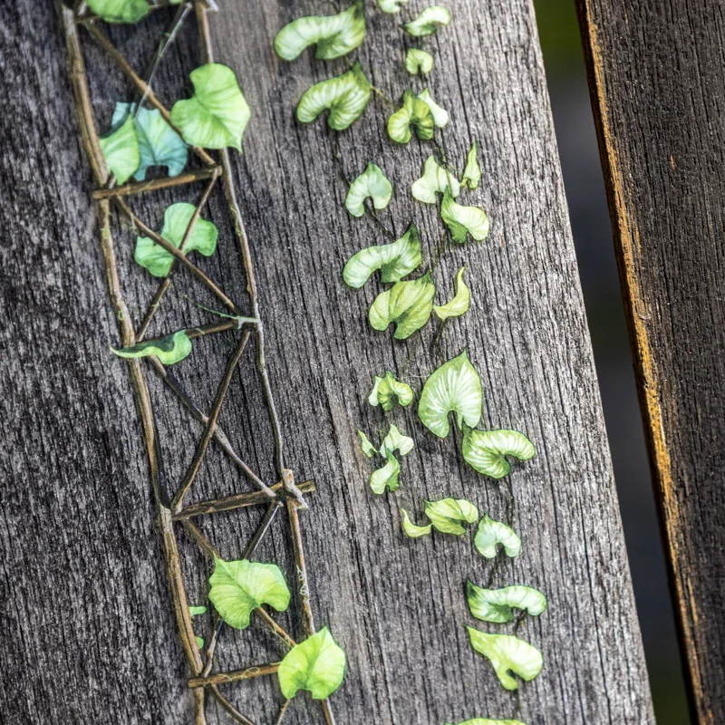 25mm * 2m 애완 동물 테이프 정원 경로 DIY Scrapbooking 장식 사진 앨범 콜라주 정크 저널 재료 미학 스티커