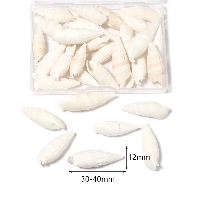 1 상자 바다 껍질 나선형 쉘 작은 바다 나선형 조개 공예 수족관 장식 조경 액세서리 사진 소품